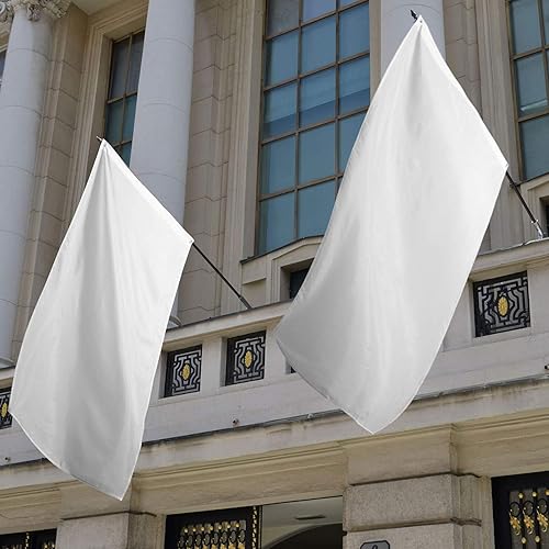 Miniatura 4 de 6 banderas de 3 x 5 pies, color blanco liso, multicolor, banderas de color puro, banderas de tafetán de seda cosidas en blanco con ojales para