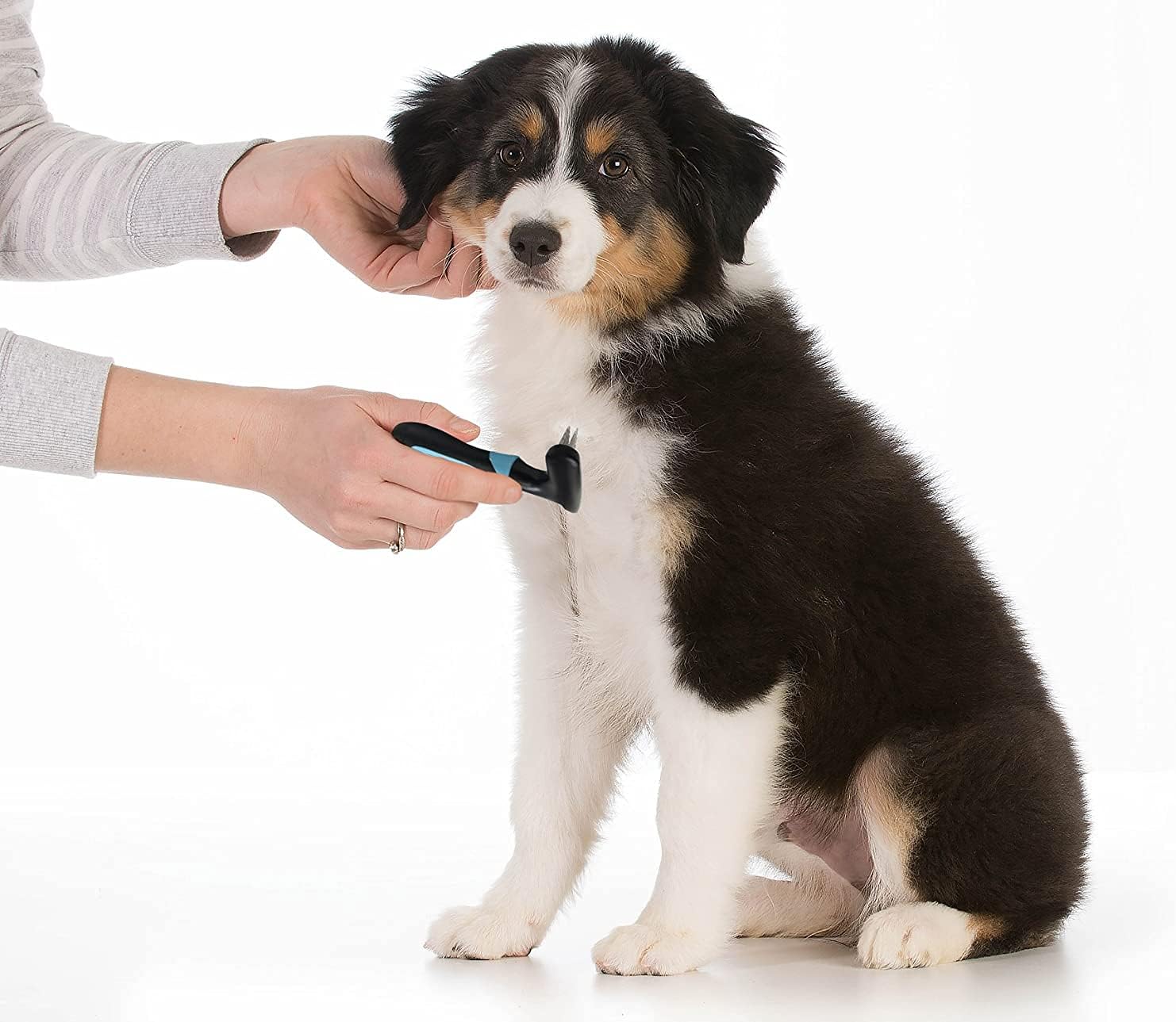 Dog rake deshedding dematting Brush Comb - Undercoat rake for Dogs, Cats, matted, Short,Long Hair Coats - Brush for Shedding, Double Row Stainless Steel pins - Reduce Shedding by 90% : Pet Supplies