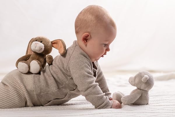 NICI Kuscheltier Hase Lopino 20cm in Geschenkbox 22,5x12,5x7cm - braun - Stofftier aus weichem Plüsch, niedliches Plüschtier zum Kuscheln und Spielen, für Babys & Kleinkinder - 2