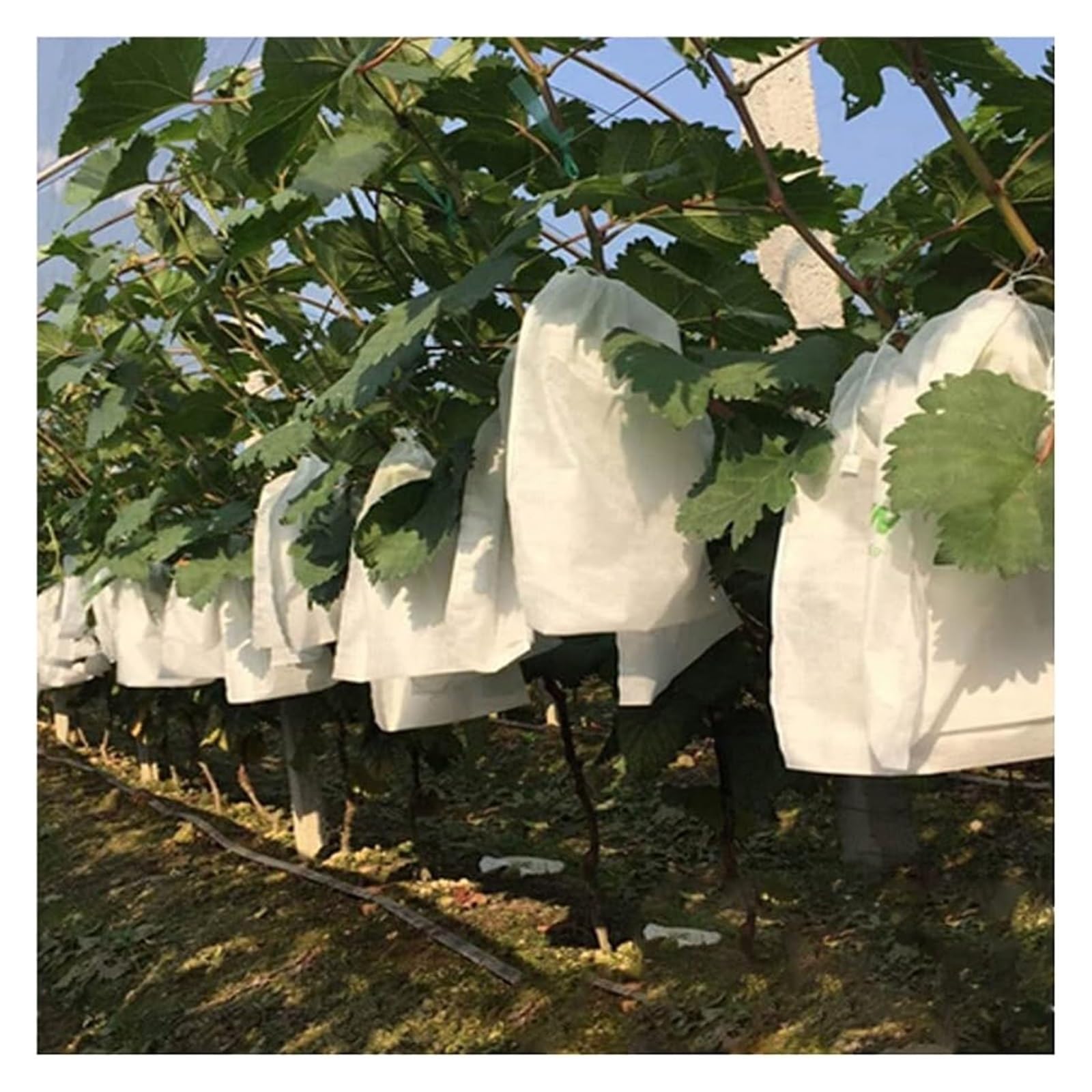 JFGCTYHXY Fruit protection bags, For Fruit Vegetable, Non-woven Fabric Mesh Bag Against Insect Pouch Garden(200x300mm 100PCS)