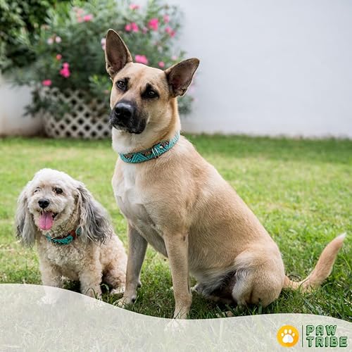 Miniatura 8 de Collar occidental para perros, diseño bordado de cuero para perros pequeños, medianos y grandes, diseño azteca del suroeste para perros machos y
