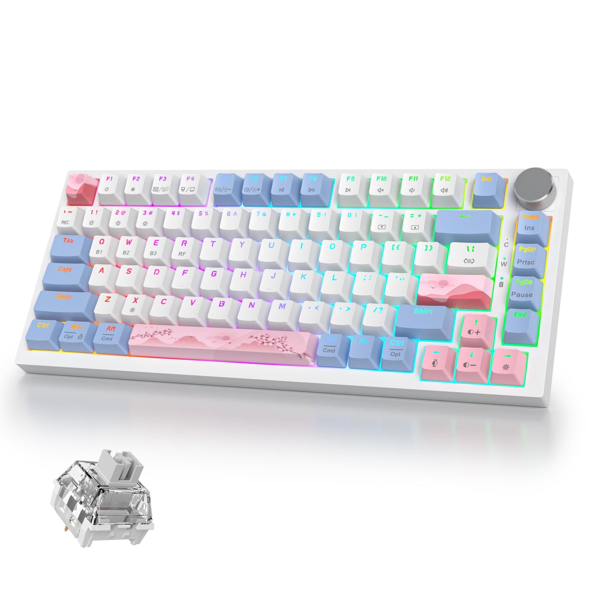 Amazon.com: iRoboosta 400PRO 75% Wireless Creamy Mechanical