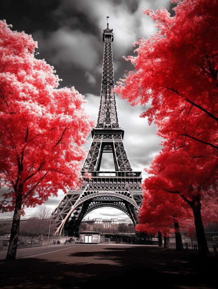 Black and White Paris Eiffel Tower (Red) 5D Adult Diamond