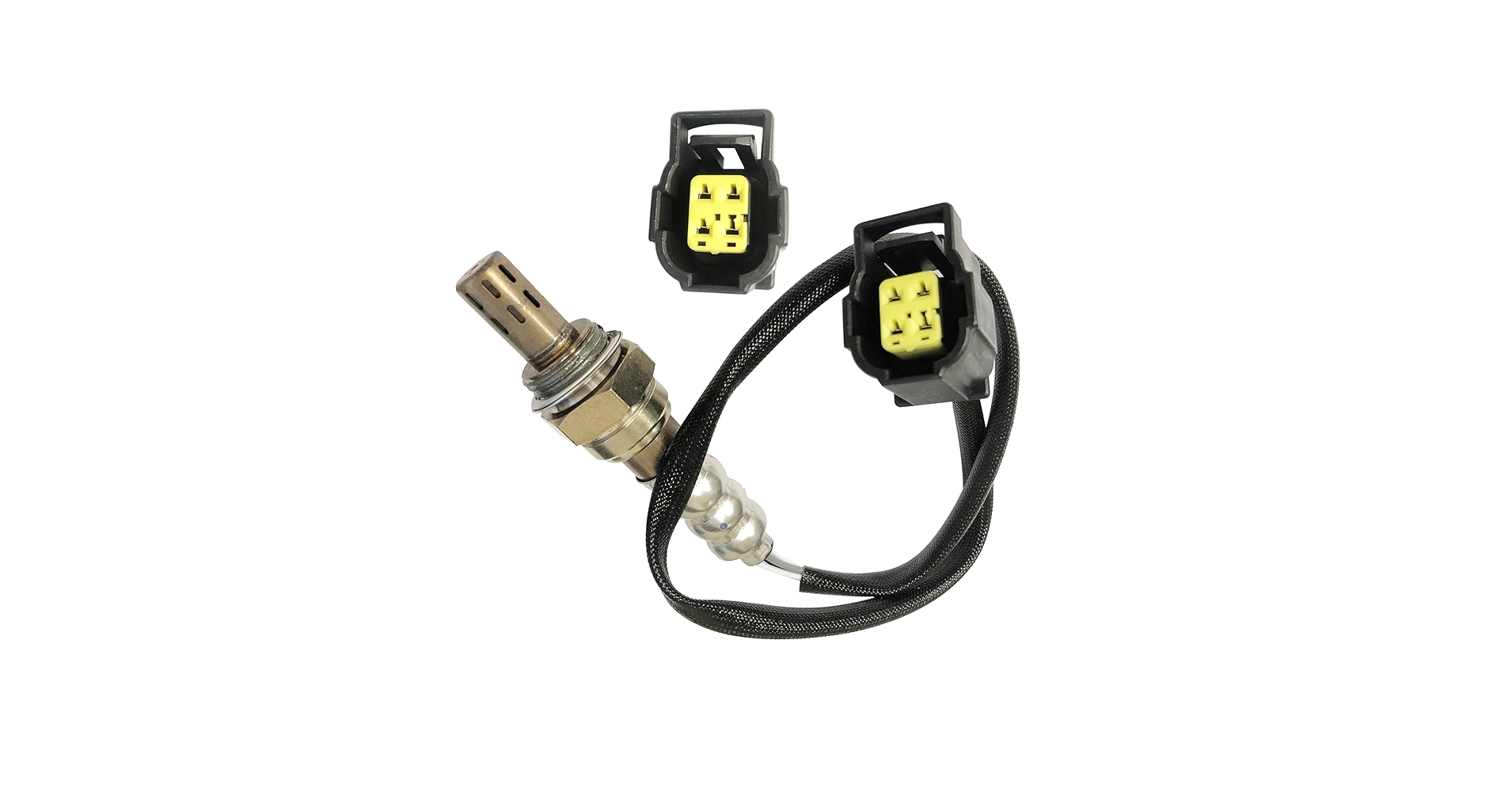 シーサー 71AArwN7zjL.jpg_BO30,255,255,