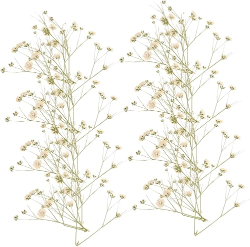 Miniatura 2 de Amosfun 5pcs 1 Baby's Breath Embossed Vase for Flowers Dried Flowers Nail Art Arreglos Florales Naturales Nordic Decor Preserved Flower Decor Plant