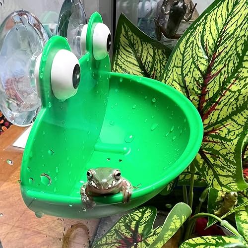 Frog Habitat with Suction Cup, 2 Pcs Cute Fish Tank Accessories Frog Dish Holder Frog Decor Frog Terrarium Decor for Tree Frog Toad Tadpole, Plastic, Green