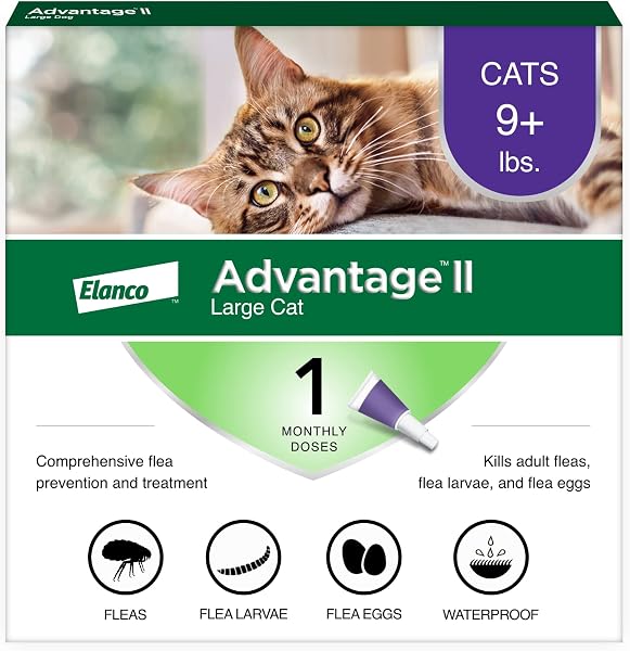 Advantage II Large Cat Flea Treatment 1-Month Supply