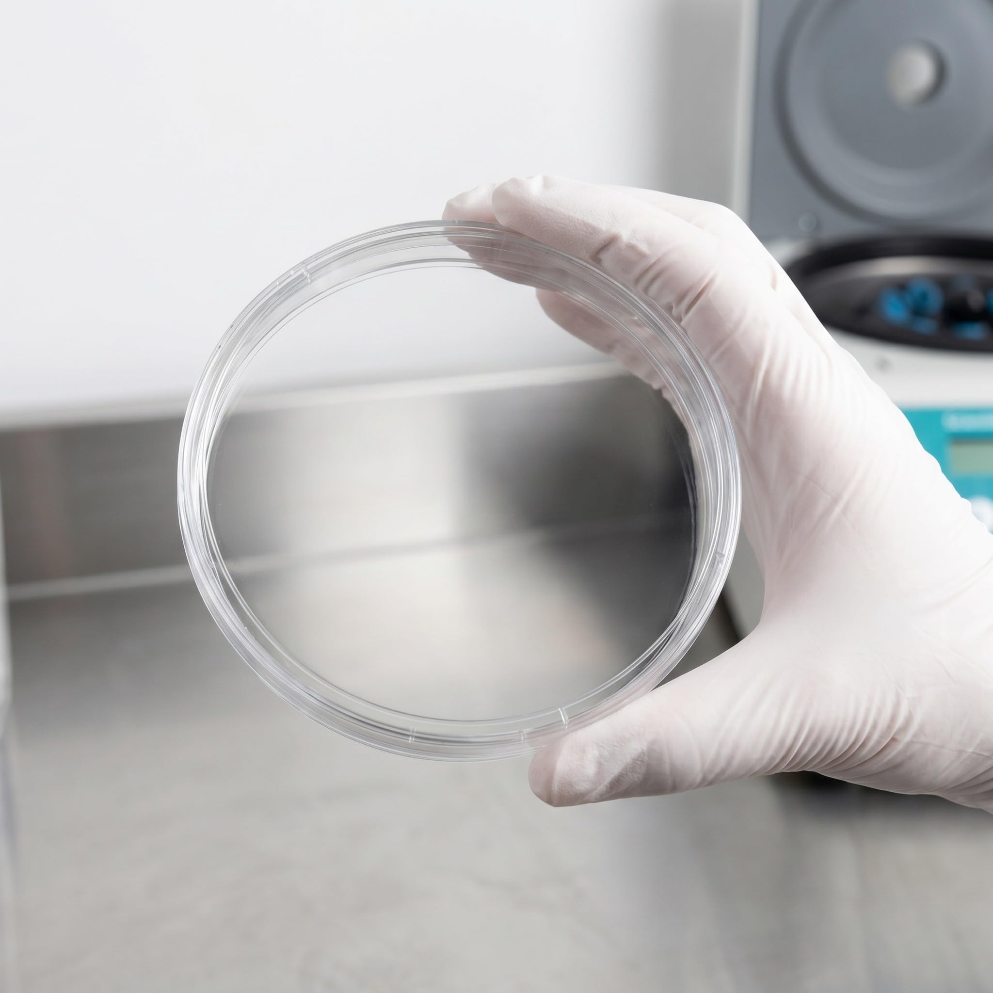 Kisangel Set di 20 piastre di Petri trasparenti con coperchio, 150 mm, in plastica, ideali per osservazioni microbiologiche e esperimenti scientifici in classe.