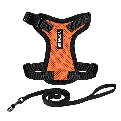 Voyager Step-in Lock - Arnés Ajustable para Gato con Correa para Gatos con Mango de Neopreno de 5 pies…