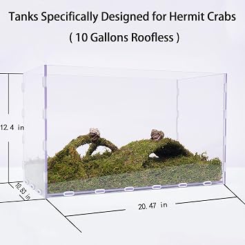10 Gallon Hermit Crab Tank Kit, Include 20.47 inch x 10.83 inch x 12.4 inch Tank,3.5oz Moss, 2xToys, Creating the Perfect Habitat for Your Cute