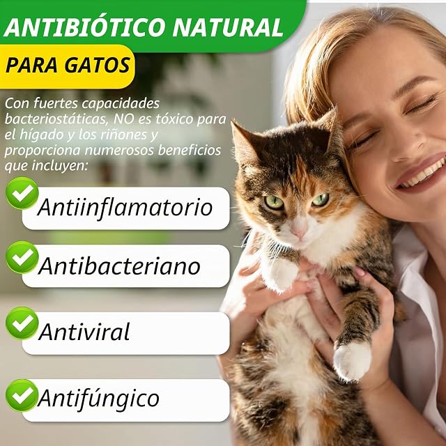 Foto 2 de 7 de Antibióticos naturales para gatos, antibióticos para gatos para alergias y alivio de la picazón