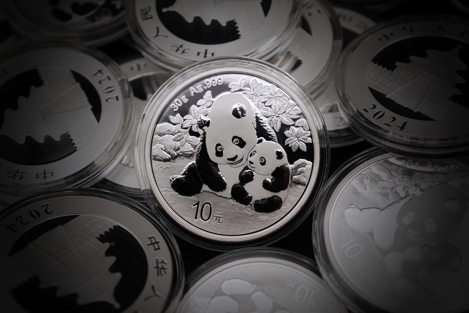 2016 - Present (Random Year) 30 g Gram Chinese Silver Panda Coin Brilliant Uncirculated (in Capsule) with Certificate of Authenticity ¥10 Yuan Seller BU
