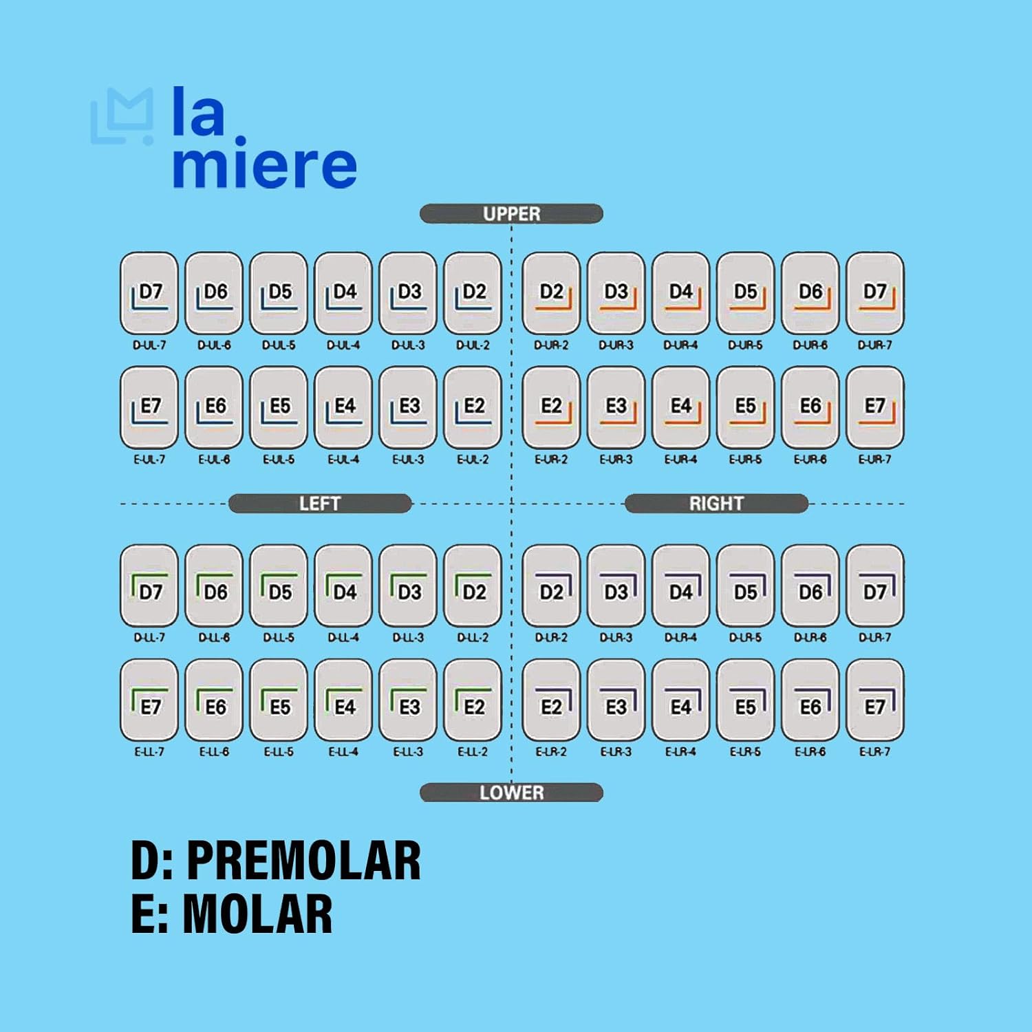 LA MIERE 48Pcs Dental Kids Crown Primary Molar Pedo Crowns Stainless Steel 48 Sizes/Box