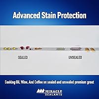 Vista 4 de Miracle Sealants Sellador de lechada Plus Invisible Penetrating Sealer Spray, 16 oz