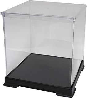 24cm in height transparent case series] figure case width 21cm x 21cm x depth (japan import)