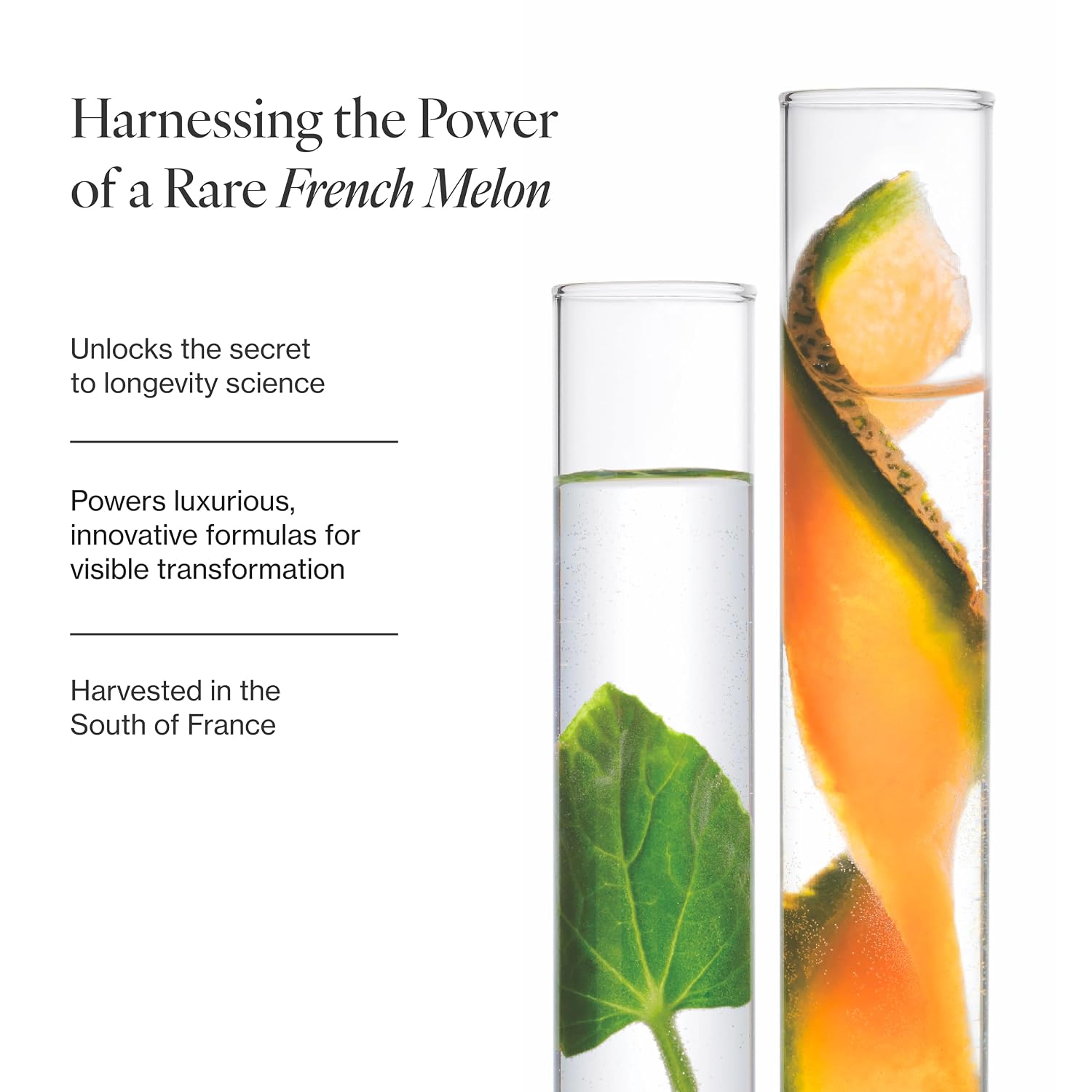 Meaningful Beauty Crème de Serum Melon Extract Nighttime Moisturizer 5 ywAAAAAAQABAAACAUwAOw==