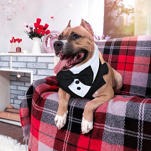 Miniatura 2 de Arnés para perros pequeños, arnés de Chihuahua a rayas con correa, bonito arnés para cachorro, arnés de chaleco para perro, arnés para perro sin