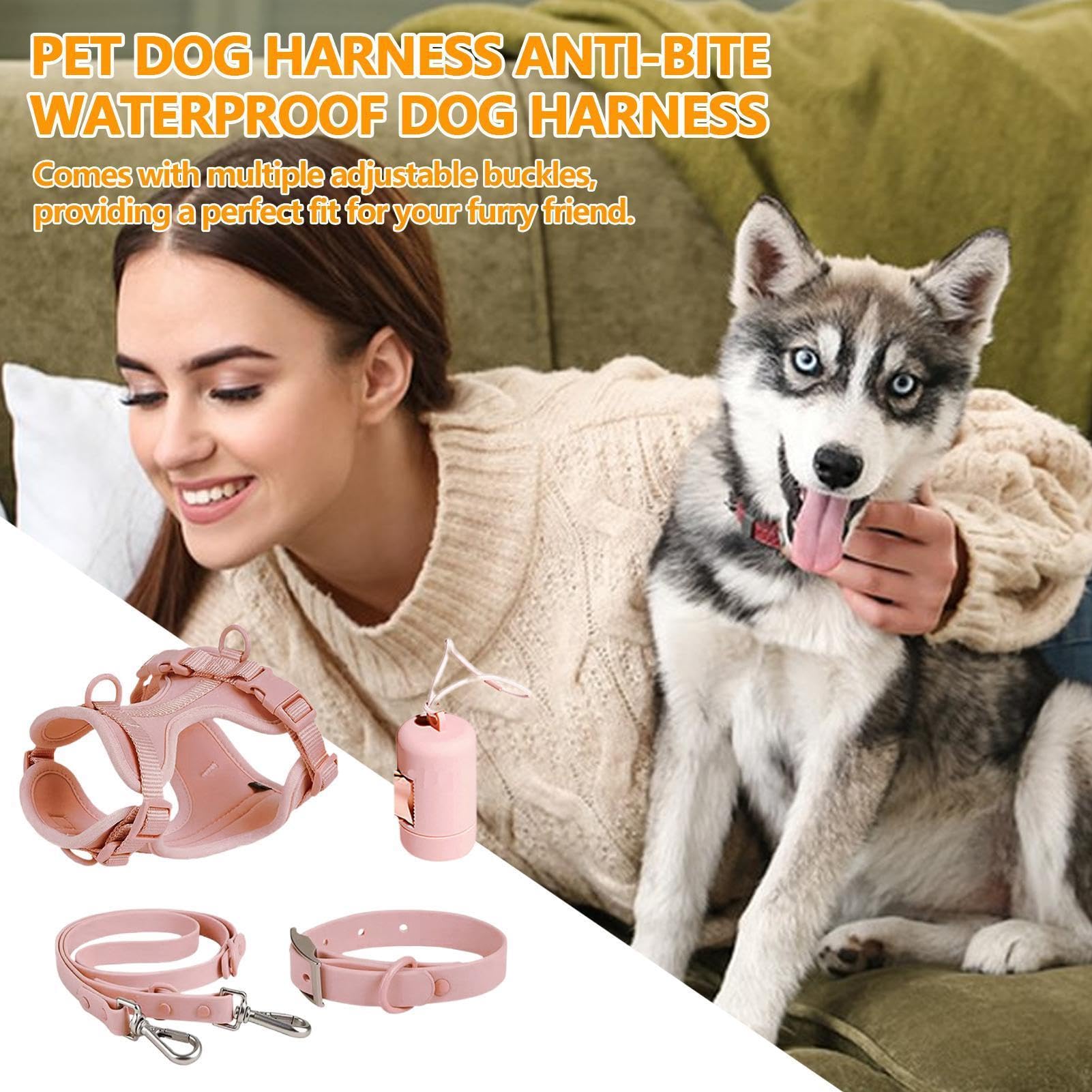 Juego de correas para perros y cachorros con soporte para bolsas de | excrementos