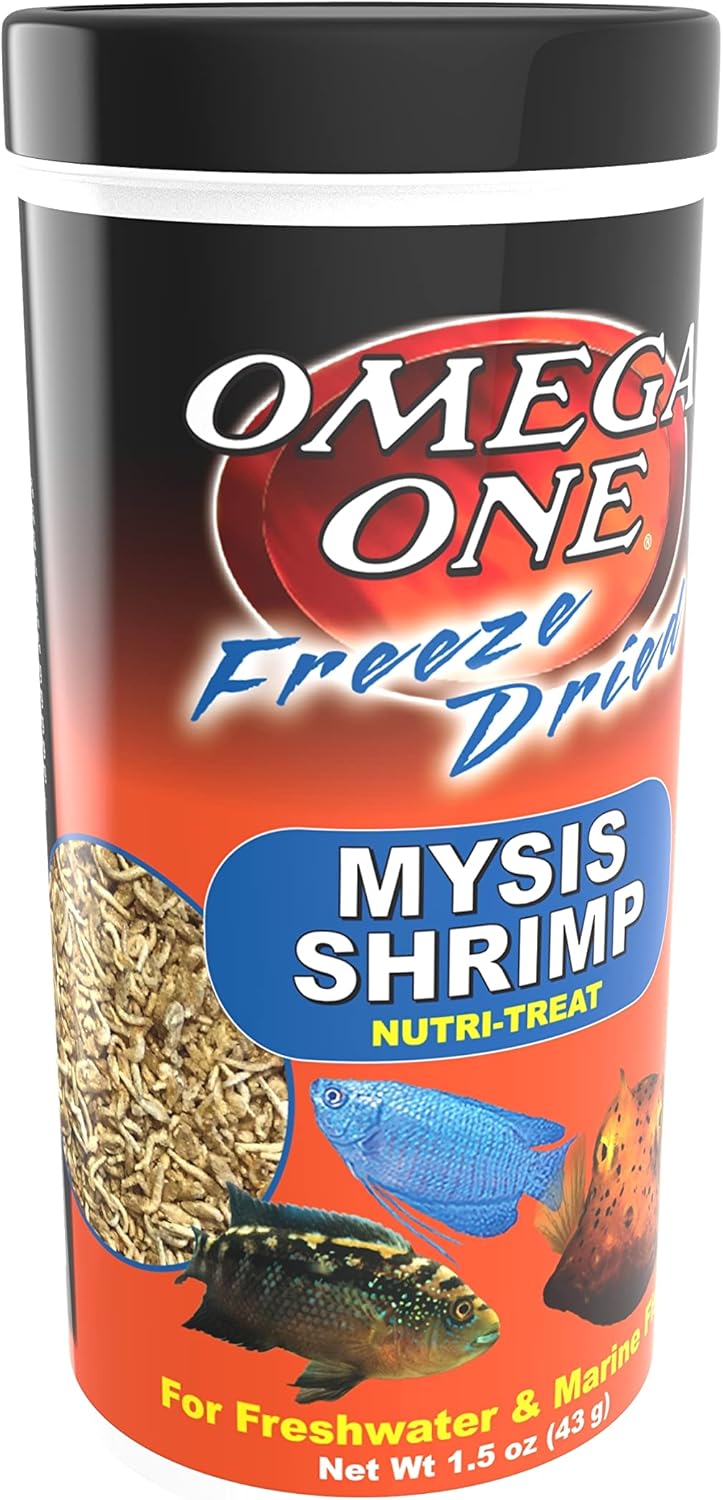 breeding mysis shrimp