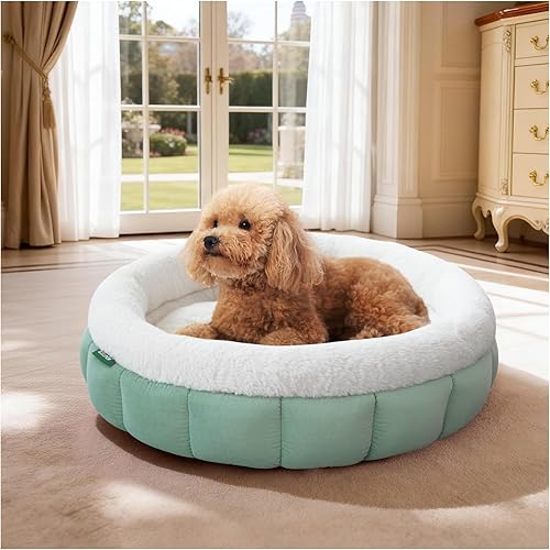 Miniatura 19 de BALANCE Camas para gatos de interior, cama redonda lavable para gatos, bonita cama para gatitos con parte inferior antideslizante para gatitos y