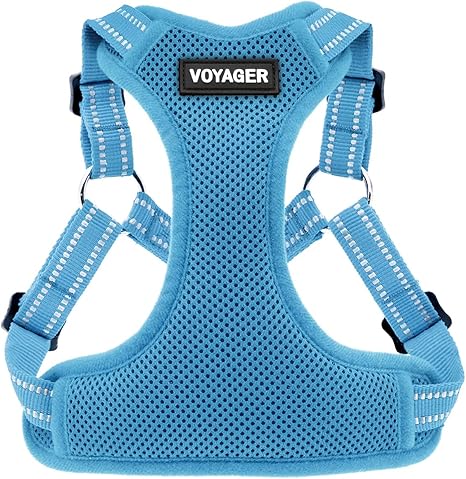 voyager harness