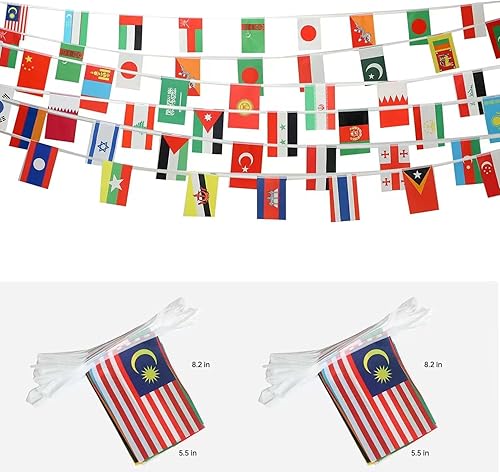 Juego de 2 banderas asiáticas de 48 países, bandera nacional de cuerda internacional, eventos deportivos de la Copa del Mundo, festival