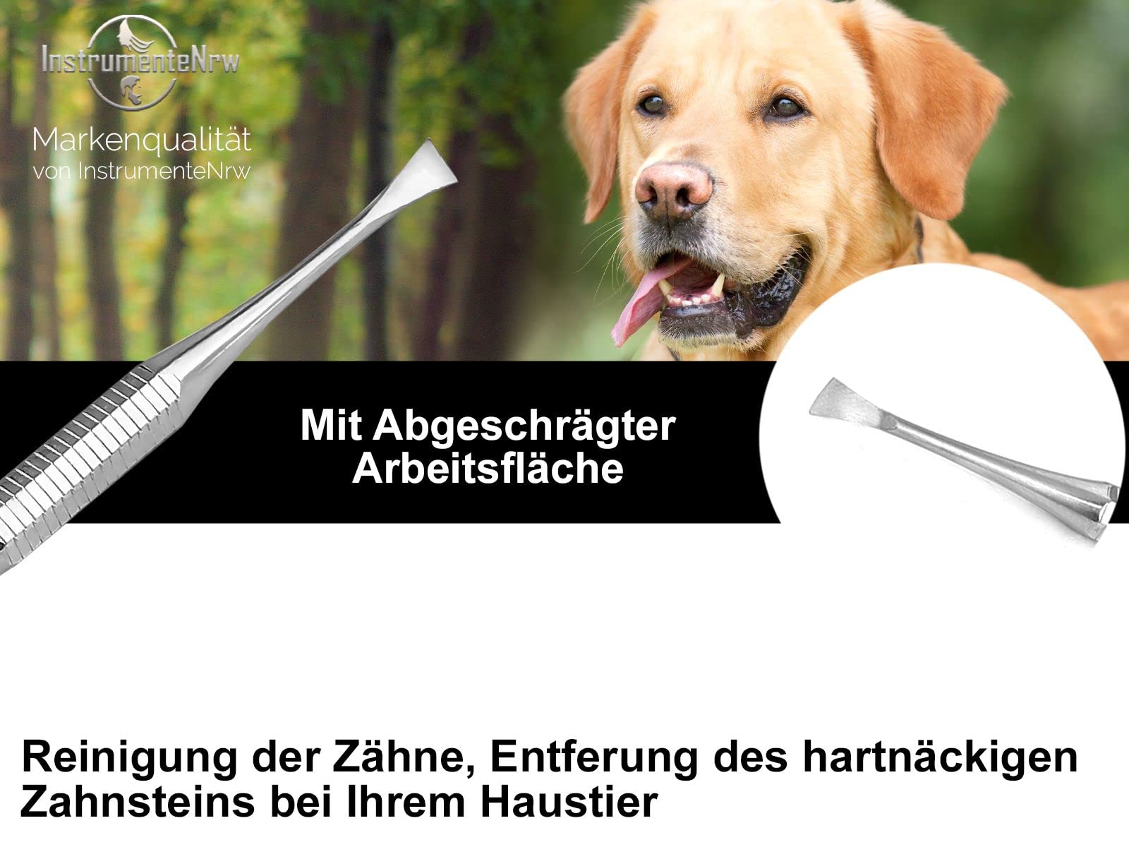 Zahnsteinentferner Für Hunde & Katzen – Edelstahl, 9,5 Cm, Mini-Format Für Unterwegs