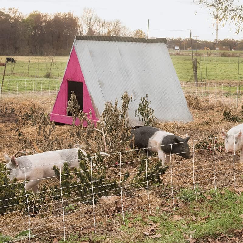 Miniatura 5 de Premier HogNet 102412 - Kit de inicio de 24 pulgadas, 100 pies, con un solo pincho, energizador solar para cerca, postes de soporte FiberTuff y