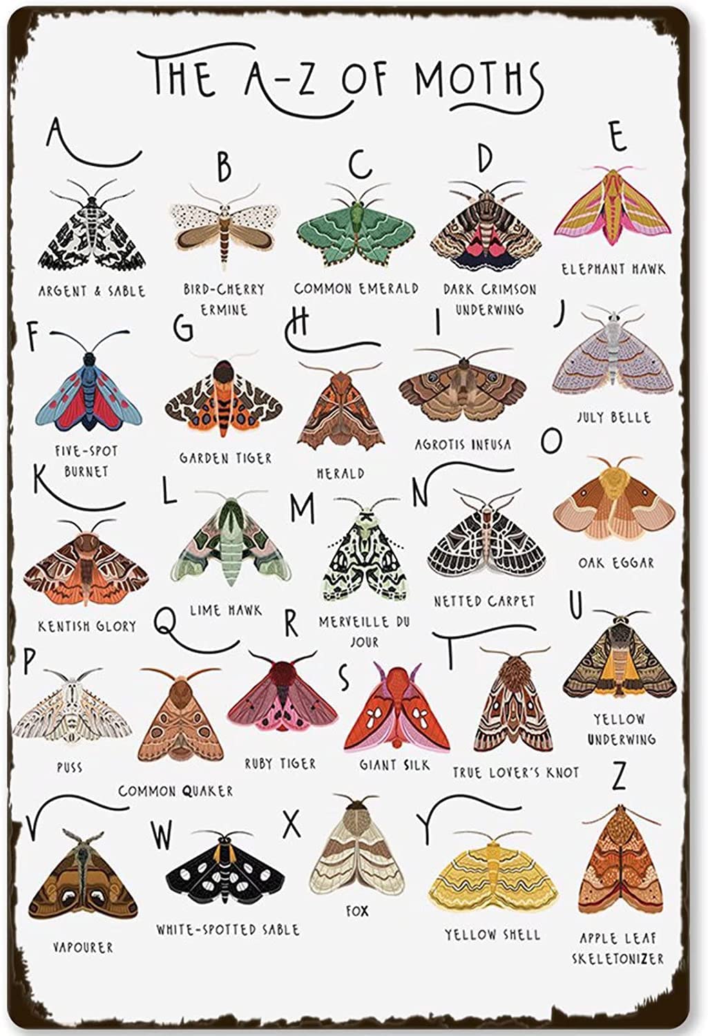 Fjqwklf The A- Z Of Moths Metal Tin Signs Moth Types Knowledge Poster Classroom School Office Home Wall Decor Art Plaques 8X12 Inches
