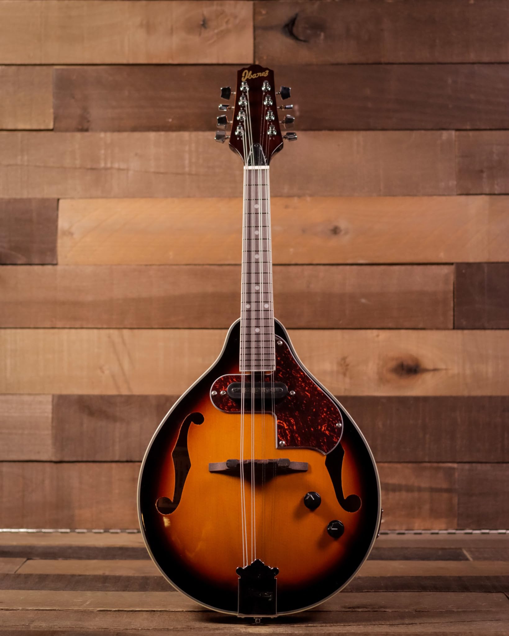 Amazon | Ibanez M510E A-STYLE アコースティックエレクトリック