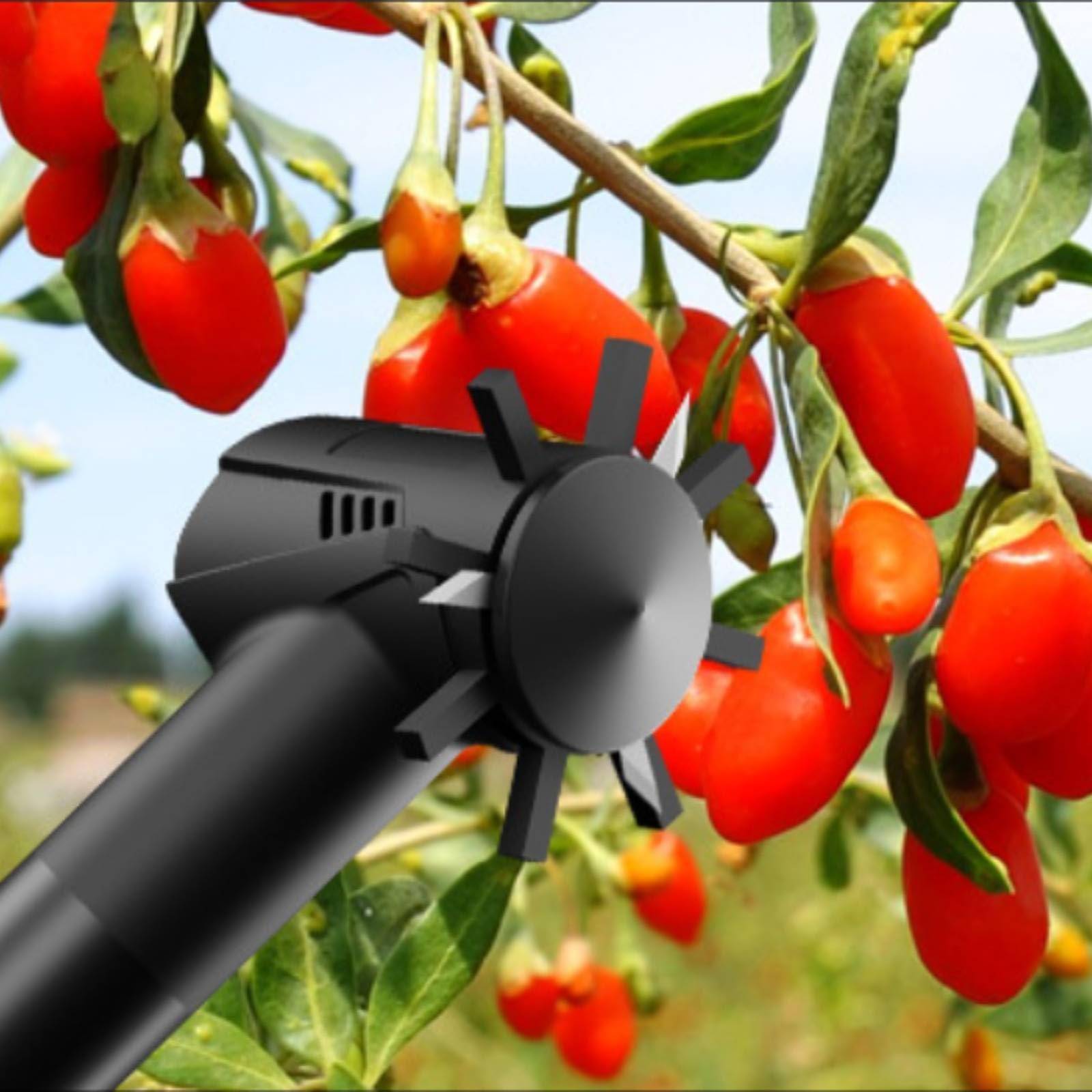 Colcolo Elektrischer Beerenpflücker Beerenpflückgerät Obstpflücker Handernter mit Austariertem Handstück für Kontrolliertes Führen An Zweigen für Gartenarbeit Hobbygärtner