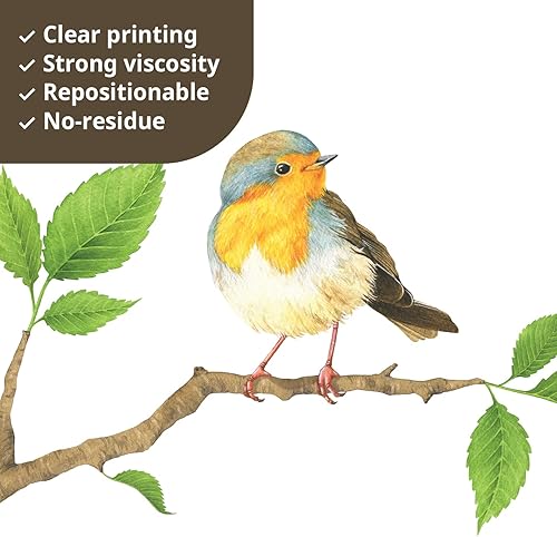 Miniatura 4 de DECOWALL DS4-8036 - Calcomanías de pared de pájaros de jardín, calcomanías de pared extraíbles para niños, guardería, dormitorio, sala de estar