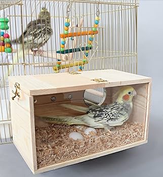 Multiholk 鳥の巣箱 61MUnBwwaPL._AC_UL210_SR210,