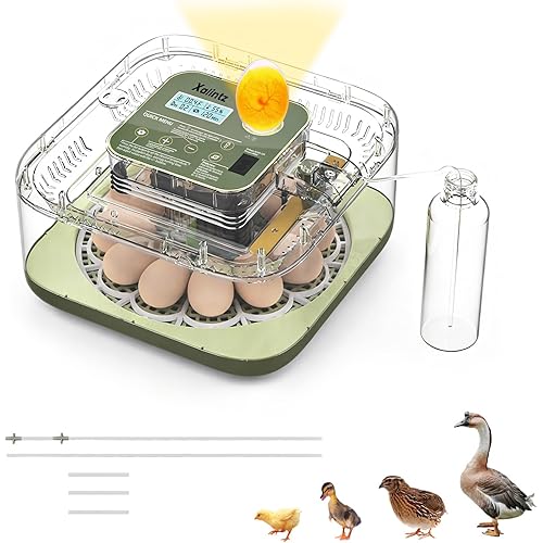 Automatic 12 Egg Incubator - Digital Temperature/Humidity Display, Hatch Day Countdown, Auto Egg Turner & Candler with 360° View for Hatching Chicken, Duck, Quail Eggs