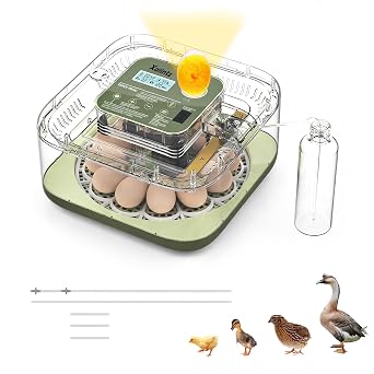 Automatic 12 Egg Incubator - Digital Temperature/Humidity Display, Hatch Day Countdown, Auto Egg Turner & Candler with 360° View for Hatching Chicken, Duck, Quail Eggs