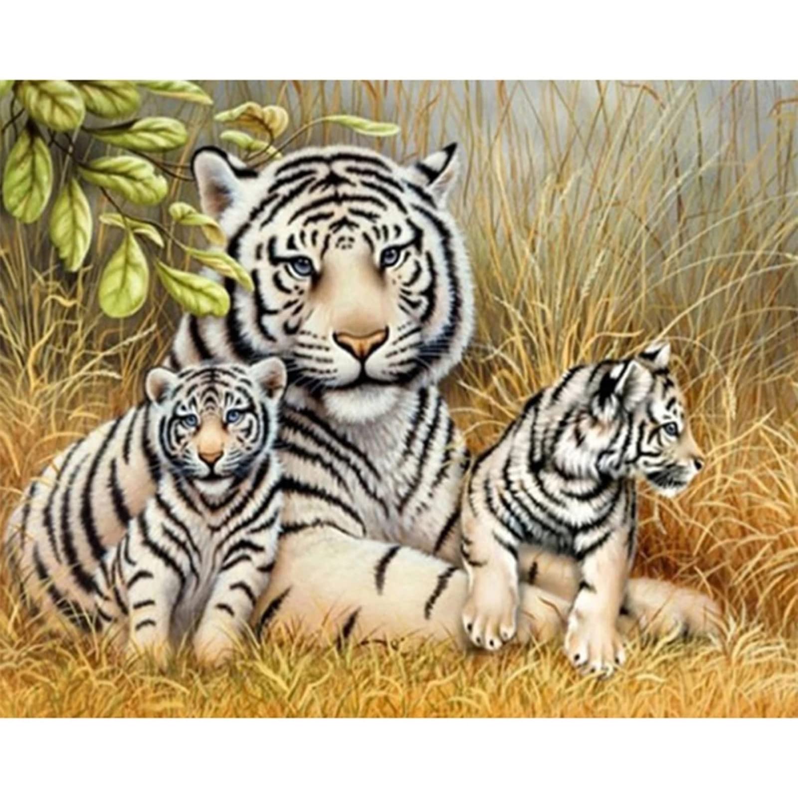 5D Diamond Painting „Tiger“ – DIY Strassbild Zum Kleben, 30x60 Cm, Voller Diamant-Effekt