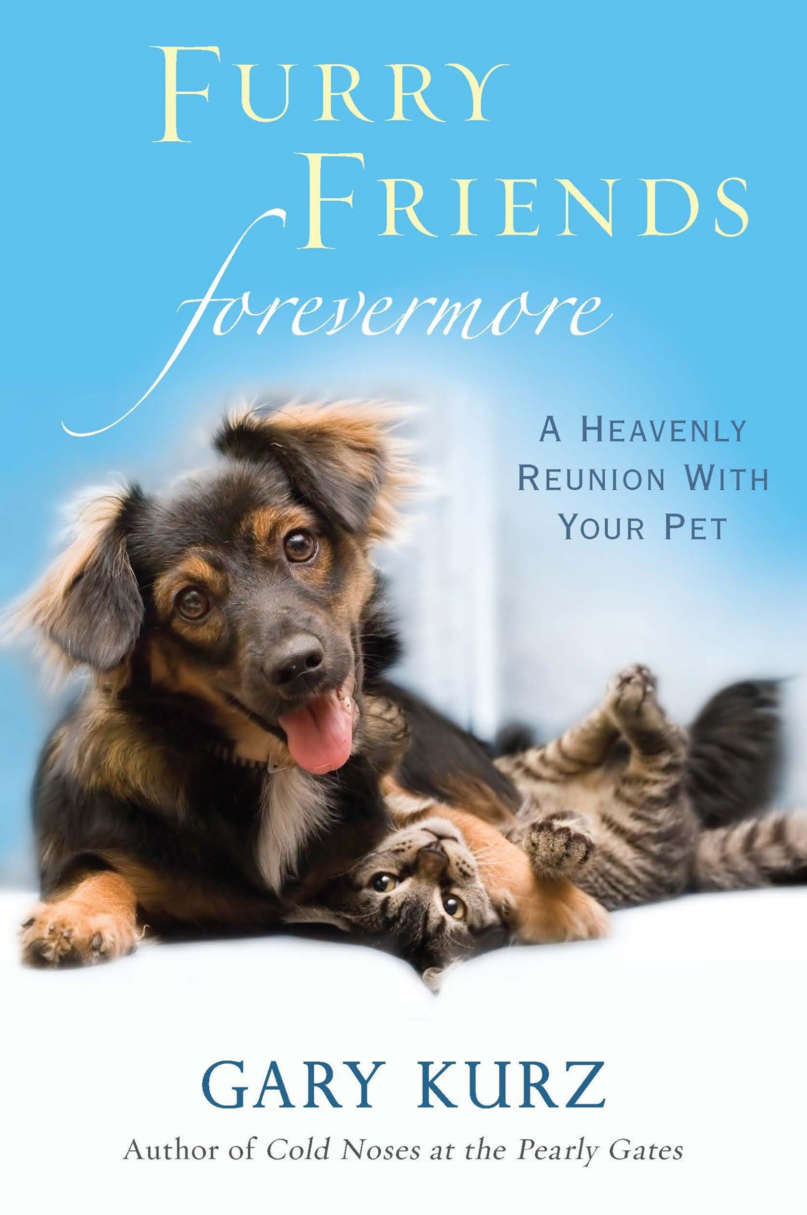 Buy Furry Friends Forevermore: A Heavenly Reunion with Your Pet — BookShops.in
