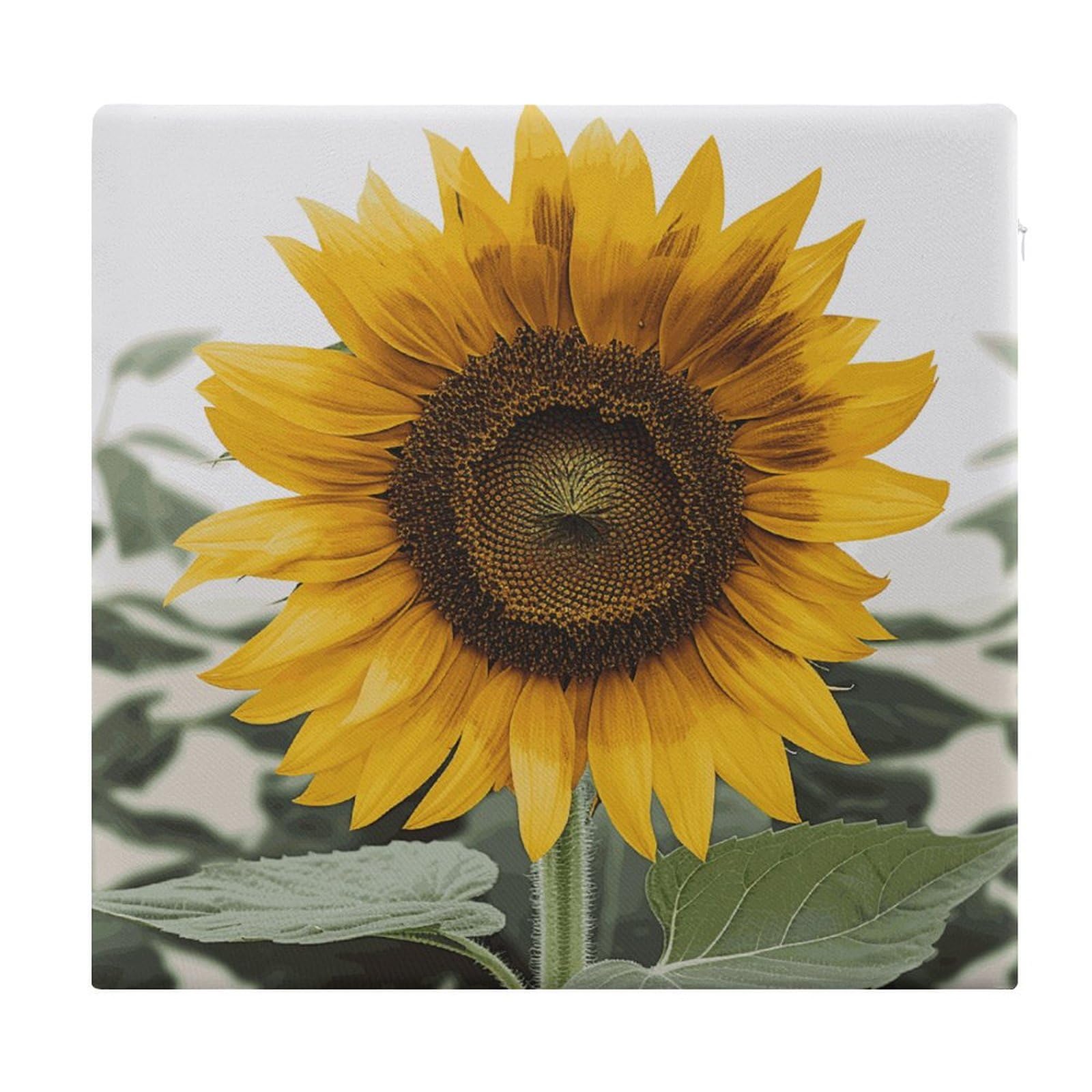 Tapis de pique-nique en plein air et coussin de sol tournesol pour adulte