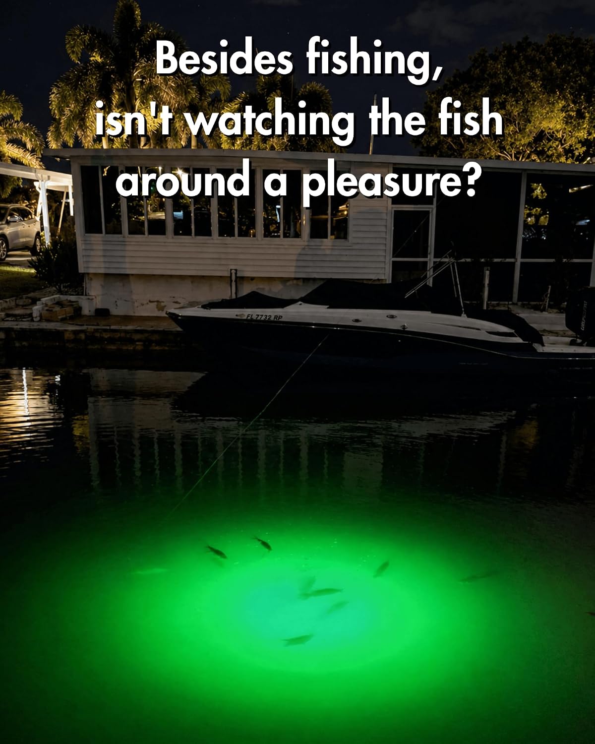 Underwater Green Fishing Light, Portable LED Dock Light for Night Fishing & Fish Viewing, Available for DeWalt 20V or Milwaukee M18 Battery, AC Power Included (No Battery)