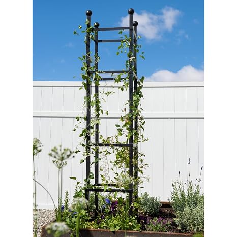 Gardener’s Supply Company Essex Square Obelisk 5 ft Tall