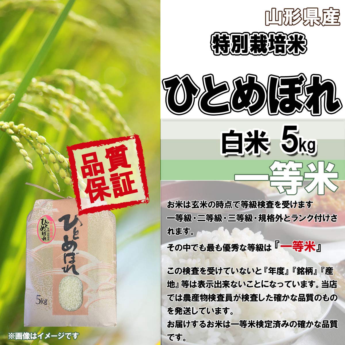 Amazon.co.jp: 成澤農園 令和7年産 新米 予約 山形県産 特別栽培