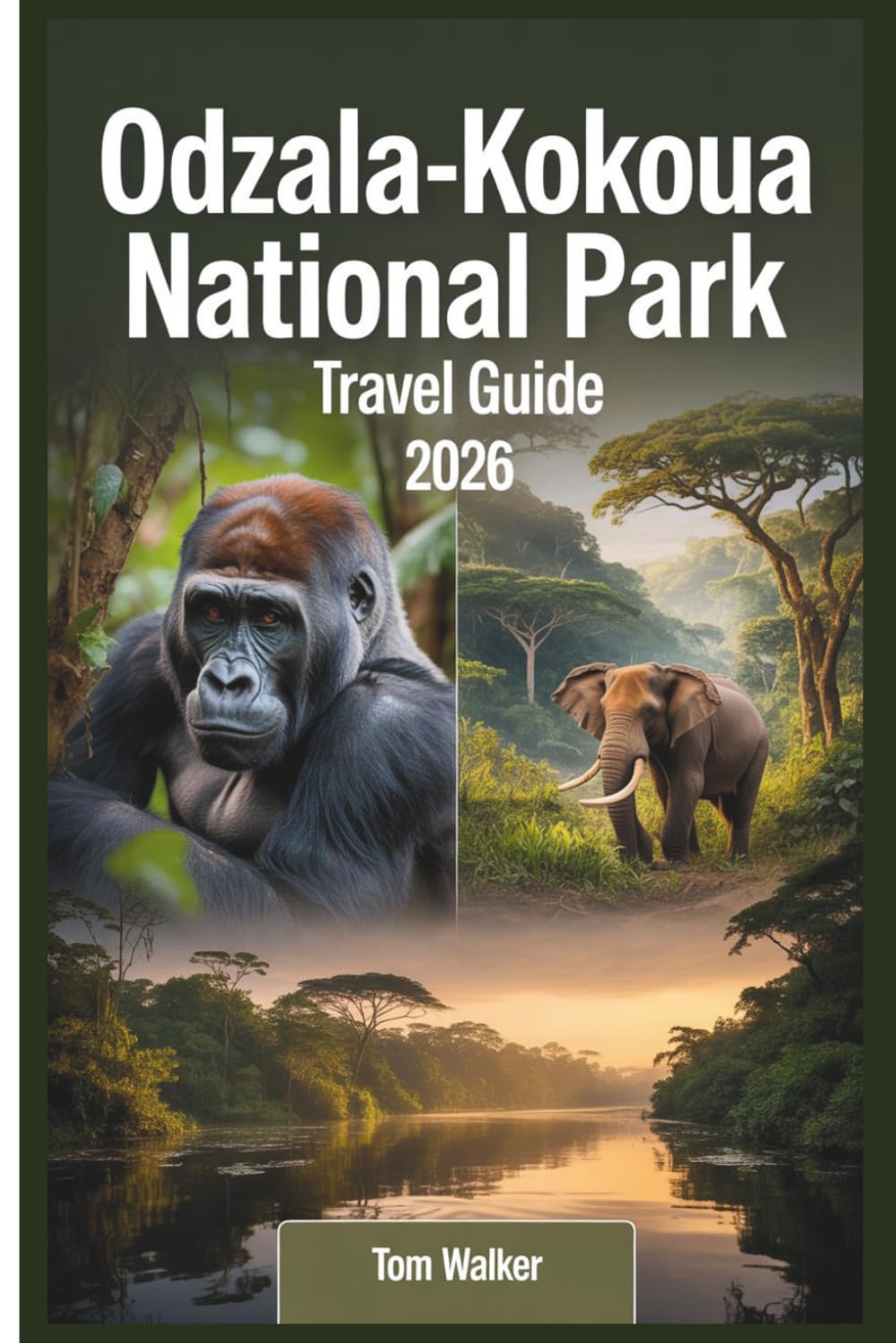 Odzala-Kokoua National Park Travel Guide 2026: Your Essential Guide to Western Lowland Gorilla Trekking at Ngaga Camp, Wildlife Watching at the Lokoué ... on the Mambili, and Exploring Africa's