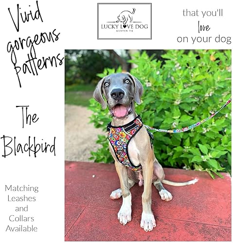 Miniatura 8 de Lucky Love Dog Arnés sin tirones para perro, ajustable y fácil de caminar, bonito arnés con patrón para perros pequeños, medianos y grandes, color