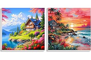 Hlison Paint by Number Framed Kits