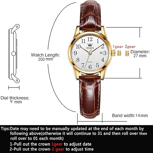 Miniatura 6 de OLEVS Relojes para mujer, de cuero marrón, fácil de leer, de cuarzo, analógicos, de cara pequeña, para mujer, impermeable, casual, simple, con