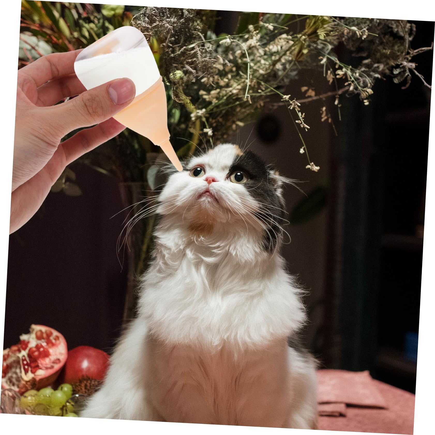 Hohopeti Household Pet Nurser Small Nursing Bottle Pet Milk Feeder for Newborn Cats