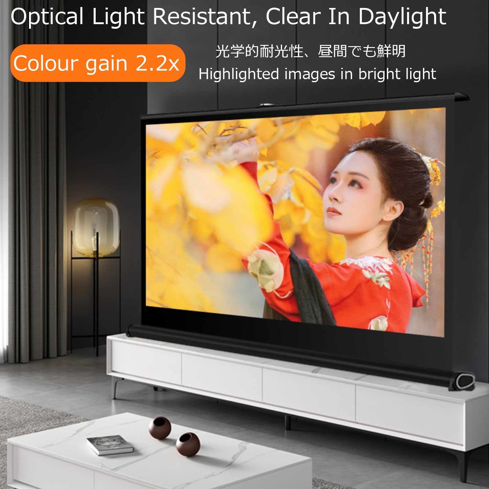 Schermo Proiezione Esterno, Schermo Per Proiettore Manuale Portatile Compatto, Facile Da Trasportare, Retrattile Pull Up HD Projector Screen Per Interni Cinema Home Theater E Ufficio(4:3 40 inch)
