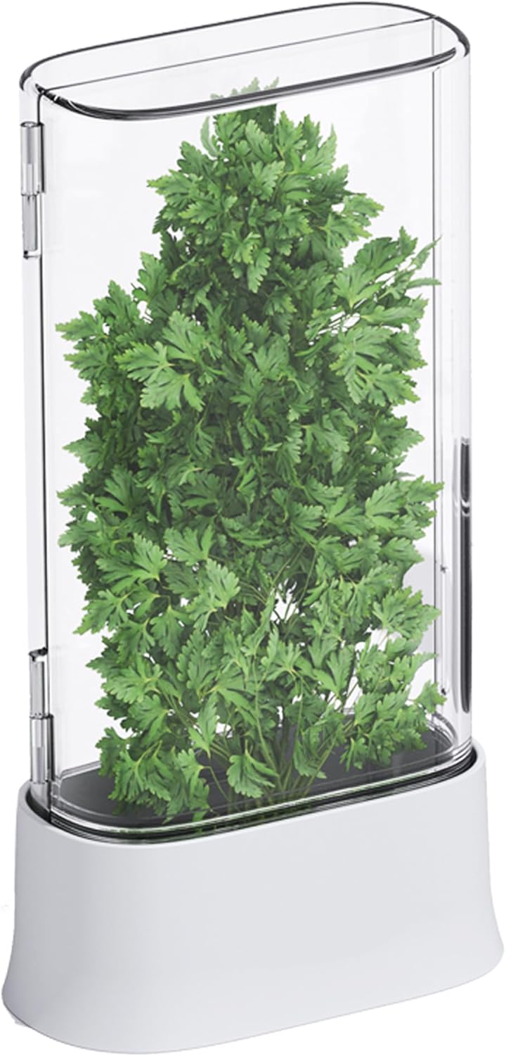 vacane Herb Keeper for Refrigerator, Fresh Herb Saver Herb