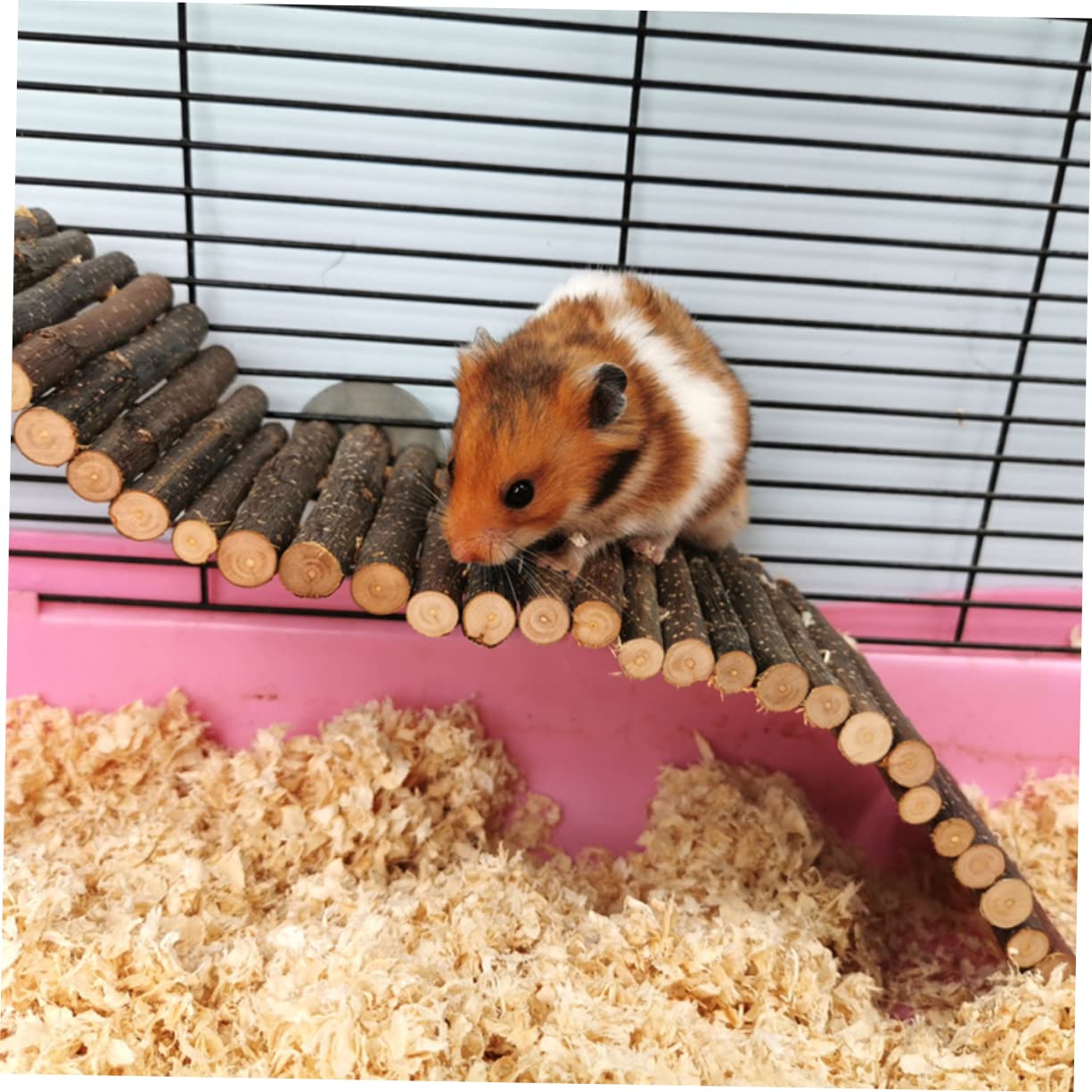 BESPORTBLE 3stücke Kletterleiter Aus Holz Für Kleintiere Spielzeug-brücke Für Hamster Meerschweinchen Und Andere Nager Kauartikel Und Spielplatz Für Haustiere