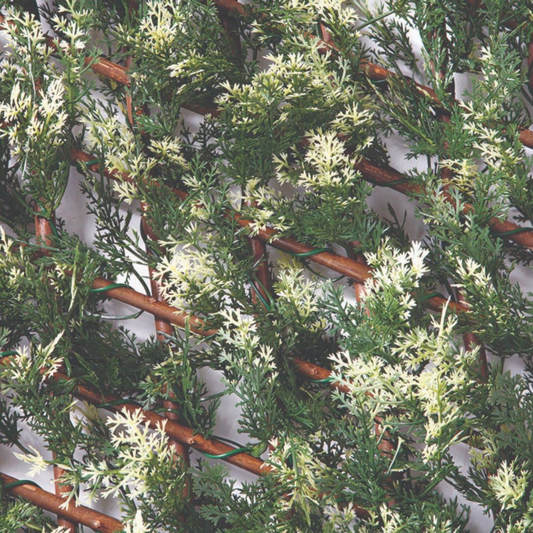 Nortene | Celosia Extensible Mimbre Ciprés | Decoración Exterior | Cerramientos Ambientes Modernos